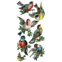 1 Sheet of Stickers Mixed Song Birds